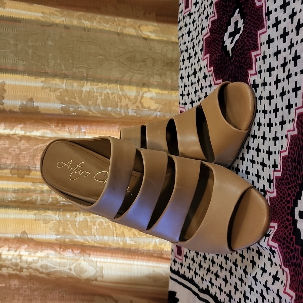 Arturo Chiang sandals